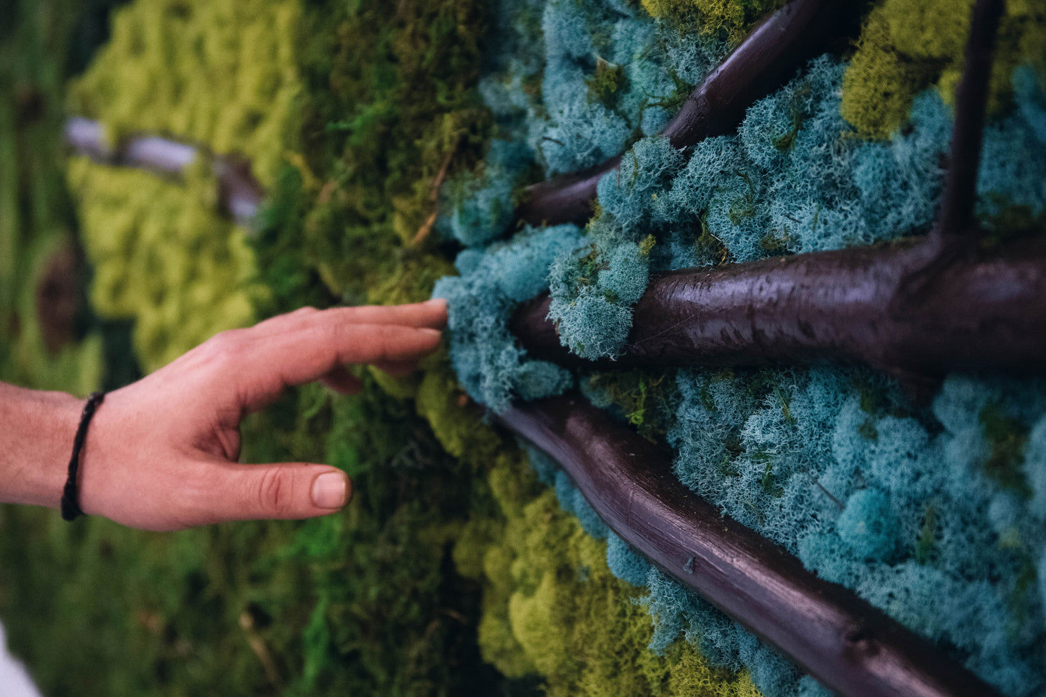 Preserved moss art is funky, exciting and fresh. Lasts up to 10 years, is cheaper and easier to maintain, and allows you to put greenery into any part of your house.