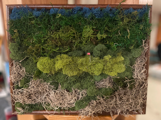 Make any golf lover happy with these replicas of iconic golf holes with a funky, vibrant, moss art twist. Perfect for golf course clubhouses, and golf lovers desks, shelves, coffee tables, and home offices.