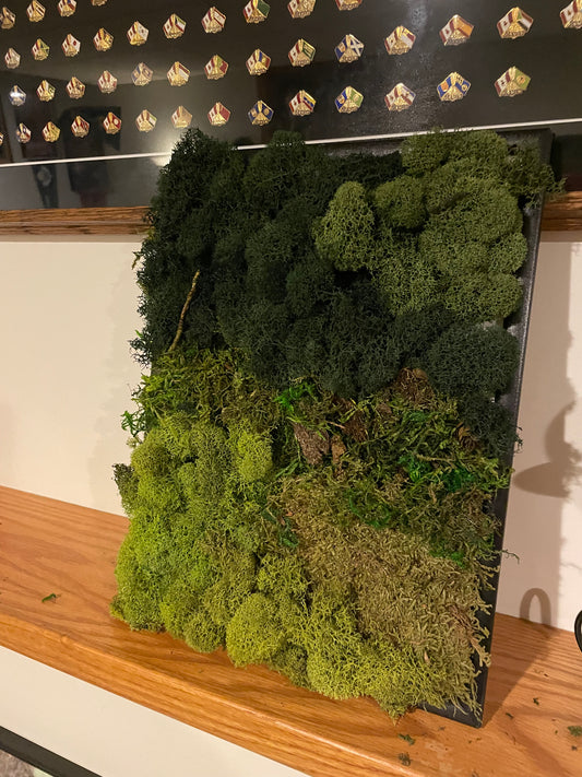 Add greenery and life to your home decor with this funky, vibrant, moss art installation. Perfect for shelves, bedside tables, coffee tables, home offices and desks.