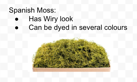 There are many types of moss including reindeer moss, spanish moss, forest moss, mountain moss, mood moss, pool moss, sheet moss, and more!
