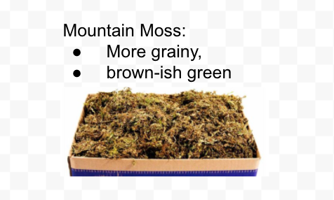 There are many types of moss including reindeer moss, spanish moss, forest moss, mountain moss, mood moss, pool moss, sheet moss, and more!