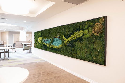 Make your office space different with vibrant, green and lively moss art that will add a funky and unique feel that is cost effective. Perfect for signature pieces, boardrooms, shelves, desks, and showcasing your products.